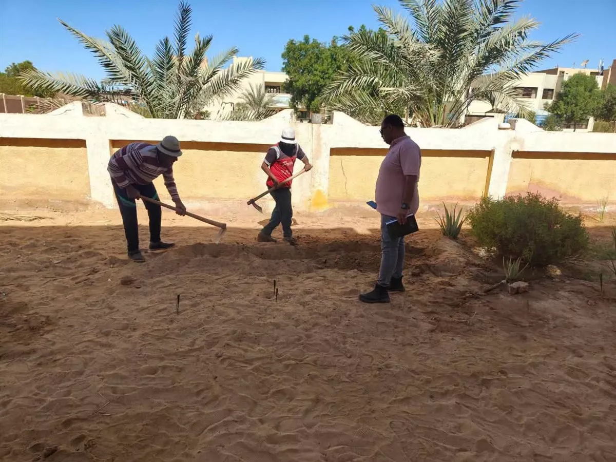 مبادرة بالوادي الجديد لتجميل شوارع موط وزيادة المساحات الخضراء