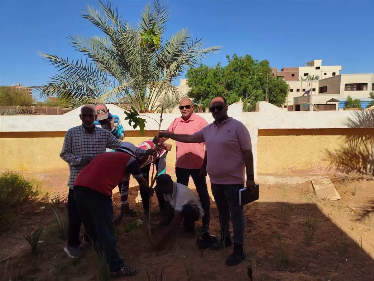 مبادرة بالوادي الجديد لتجميل شوارع موط وزيادة المساحات الخضراء