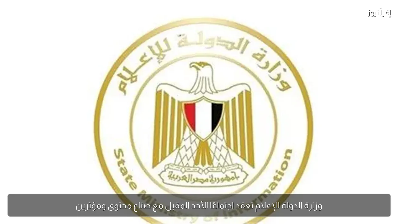 وزارة الدولة للإعلام تعقد اجتماعًا الأحد المقبل مع صناع محتوى ومؤثرين
