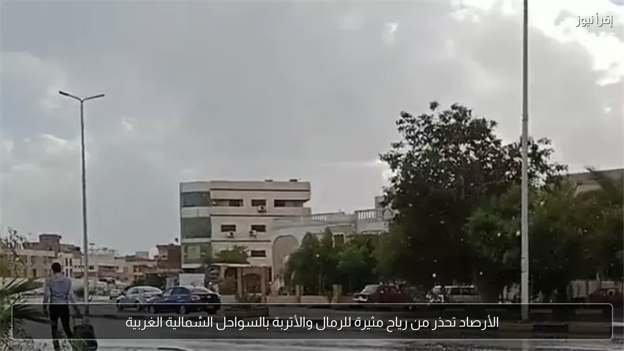 الأرصاد تحذر من رياح مثيرة للرمال والأتربة بالسواحل الشمالية الغربية