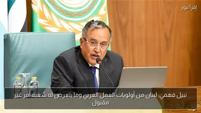 نبيل فهمي: لبنان من أولويات العمل العربي وما يتعرض له شعبه أمر غير مقبول
