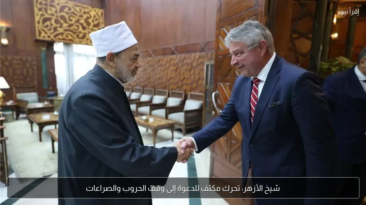 شيخ الأزهر: تحرك مكثف للدعوة إلى وقف الحروب والصراعات
