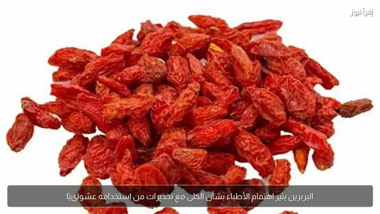 البربرين يثير اهتمام الأطباء بشأن الكلى مع تحذيرات من استخدامه عشوائيًا