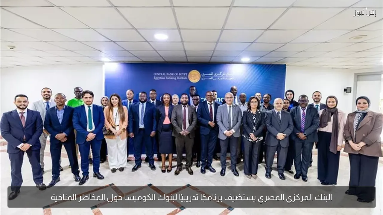 البنك المركزي المصري يستضيف برنامجًا تدريبيًا لبنوك الكوميسا حول المخاطر المناخية