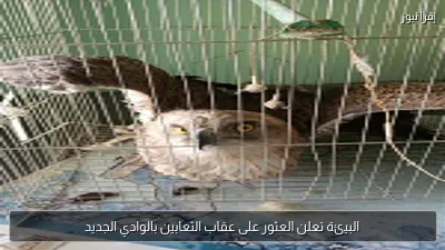 البيئة تعلن العثور على عقاب الثعابين بالوادي الجديد