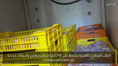 الطب البيطري بالغربية يتحفظ على 293 كيلو لحوم ودواجن وأسماك مدخنة غير صالحة للاستهلاك
