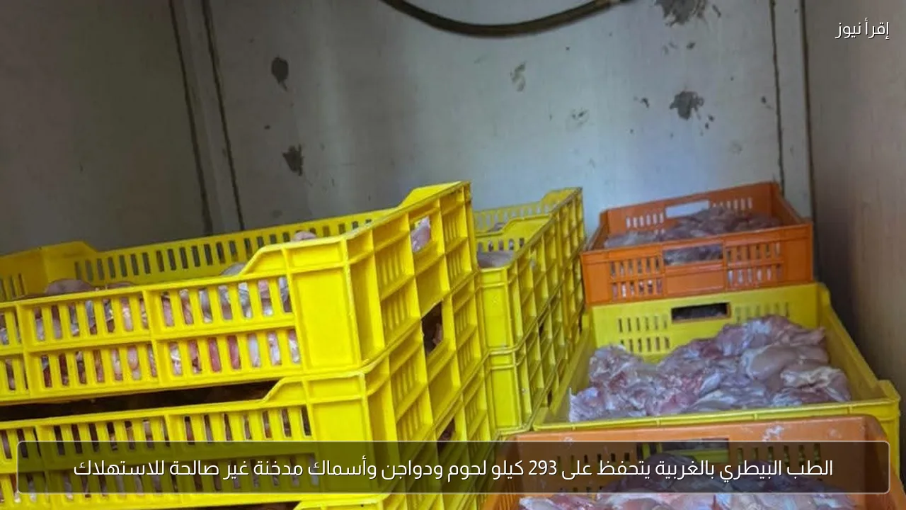 الطب البيطري بالغربية يتحفظ على 293 كيلو لحوم ودواجن وأسماك مدخنة غير صالحة للاستهلاك