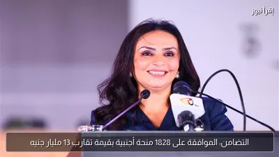 التضامن: الموافقة على 1828 منحة أجنبية بقيمة تقارب 13 مليار جنيه