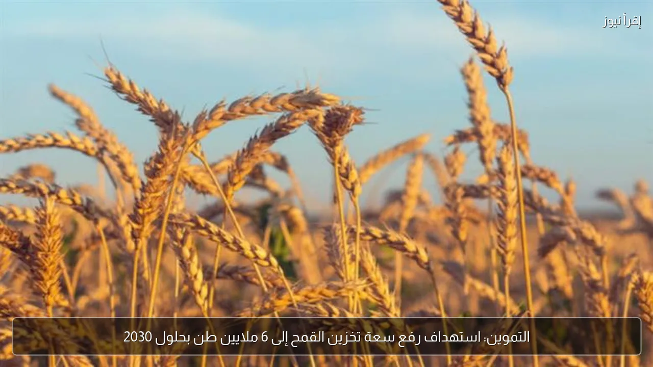 التموين: استهداف رفع سعة تخزين القمح إلى 6 ملايين طن بحلول 2030
