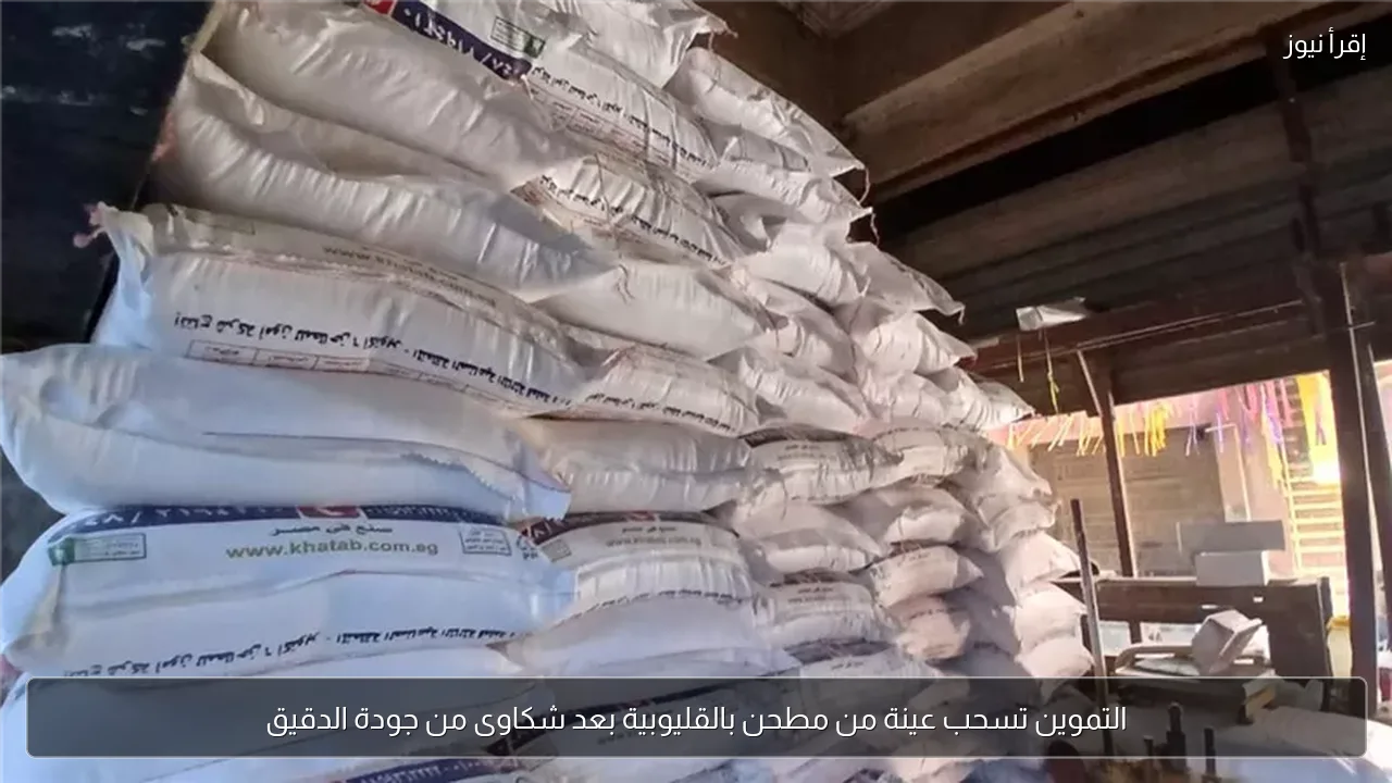 التموين تسحب عينة من مطحن بالقليوبية بعد شكاوى من جودة الدقيق
