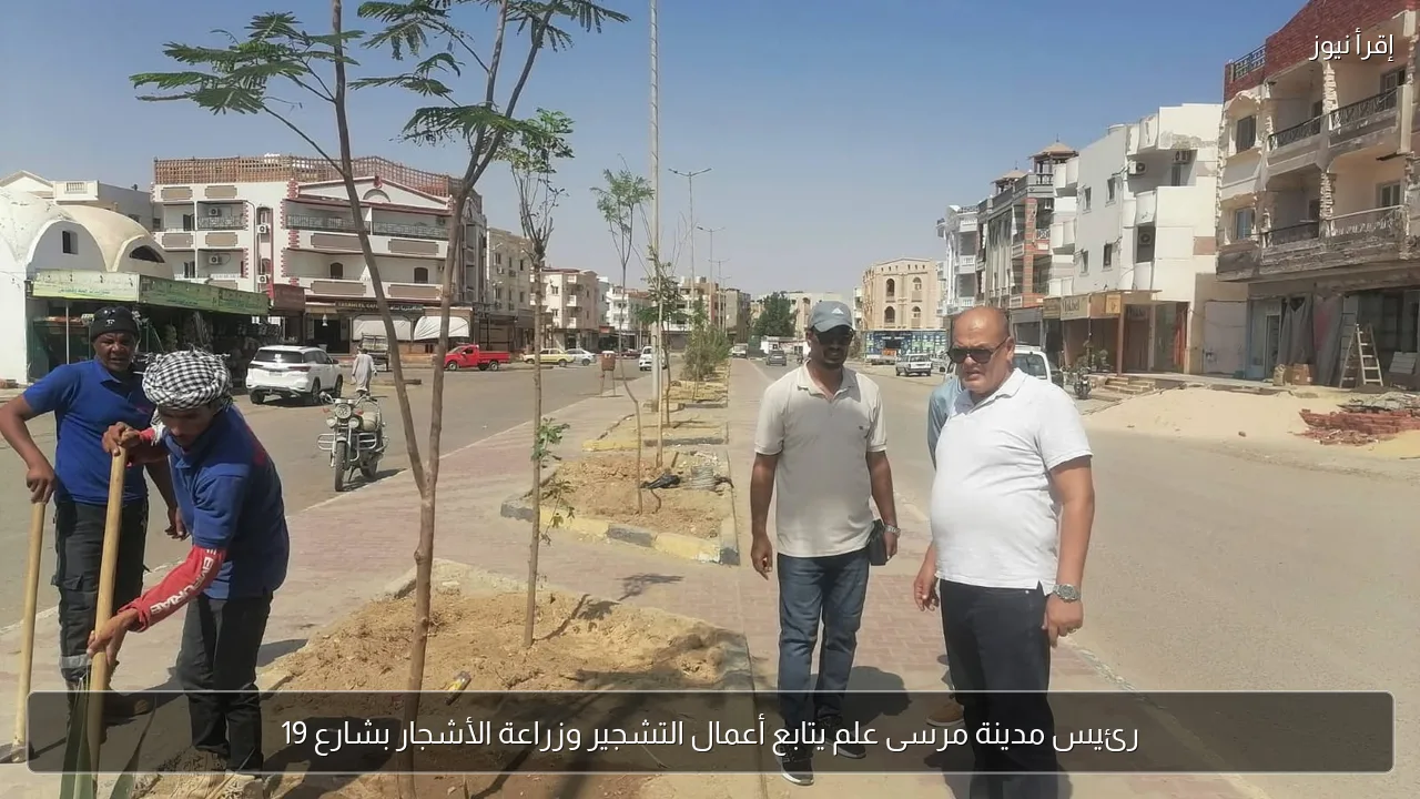 رئيس مدينة مرسى علم يتابع أعمال التشجير وزراعة الأشجار بشارع 19