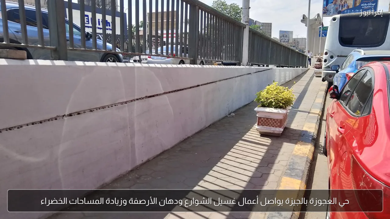 حي العجوزة بالجيزة يواصل أعمال غسيل الشوارع ودهان الأرصفة وزيادة المساحات الخضراء