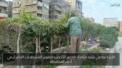 الجيزة تواصل تنفيذ مبادرة «اتحضر للأخضر» لتطوير المسطحات الخضراء في أحياء المحافظة