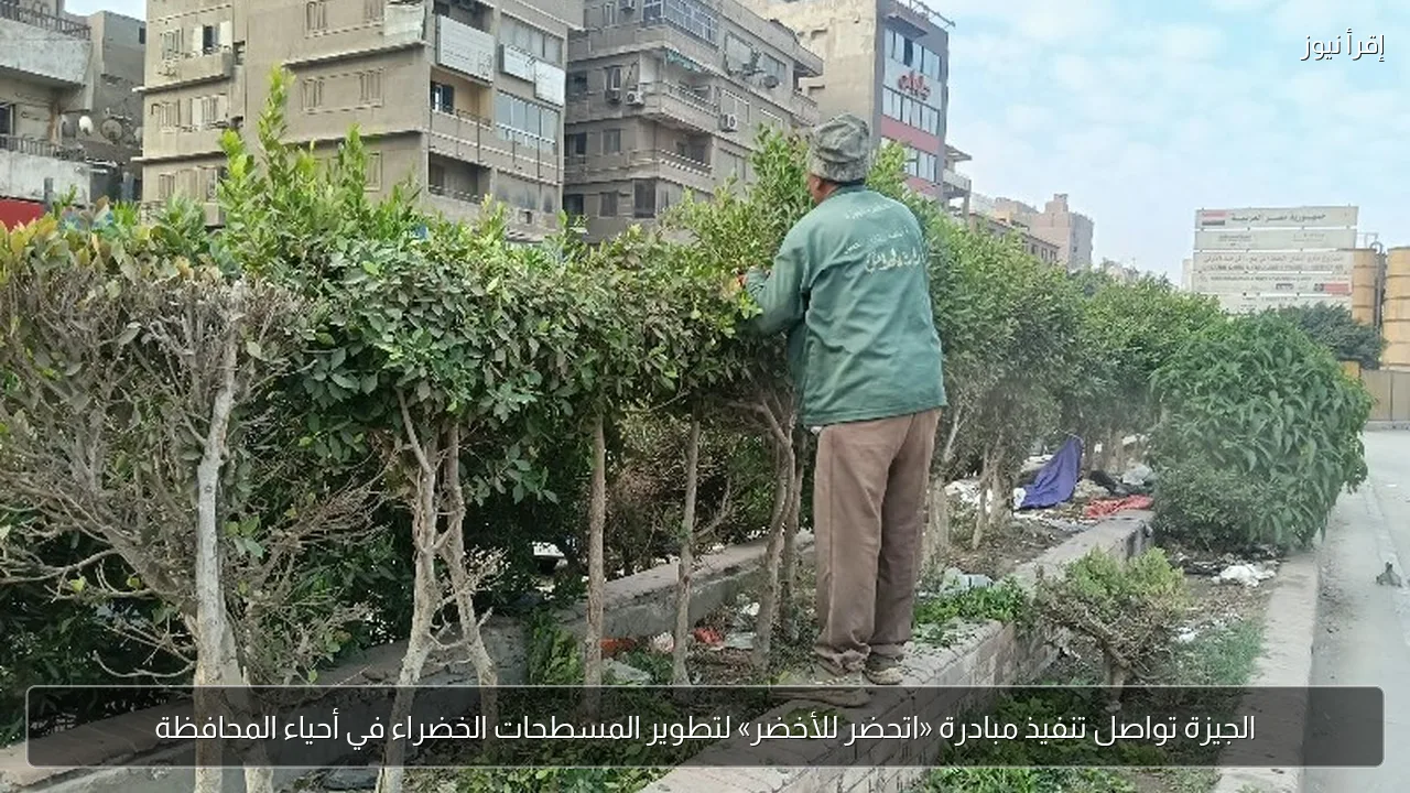 الجيزة تواصل تنفيذ مبادرة «اتحضر للأخضر» لتطوير المسطحات الخضراء في أحياء المحافظة
