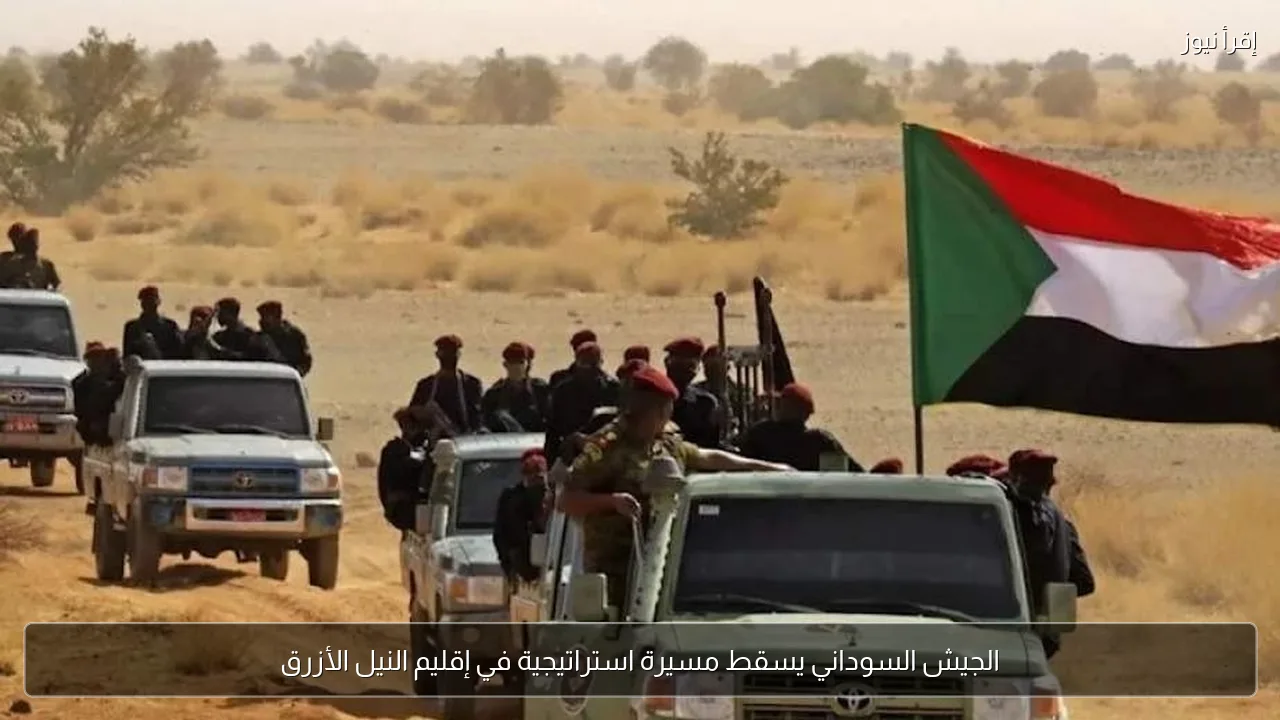 الجيش السوداني يسقط مسيرة استراتيجية في إقليم النيل الأزرق