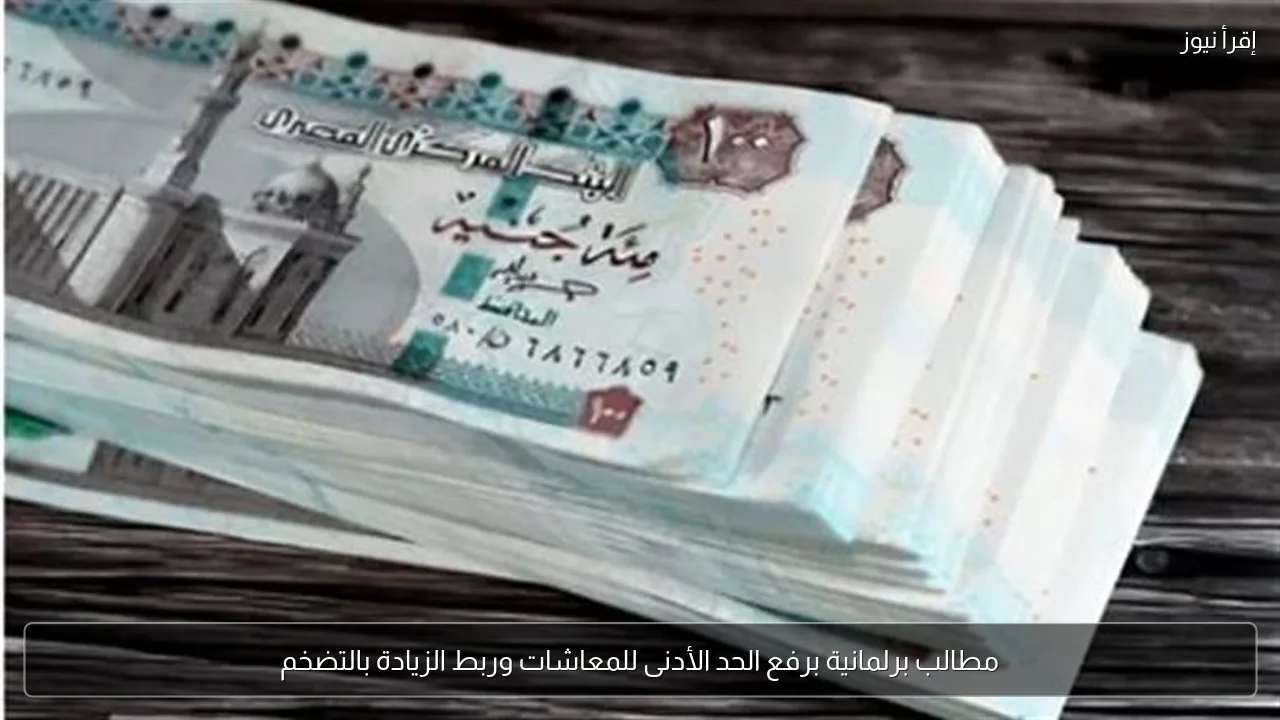 مطالب برلمانية برفع الحد الأدنى للمعاشات وربط الزيادة بالتضخم