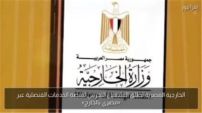 الخارجية المصرية تطلق التشغيل التجريبي لمنصة الخدمات القنصلية عبر «مصري بالخارج»