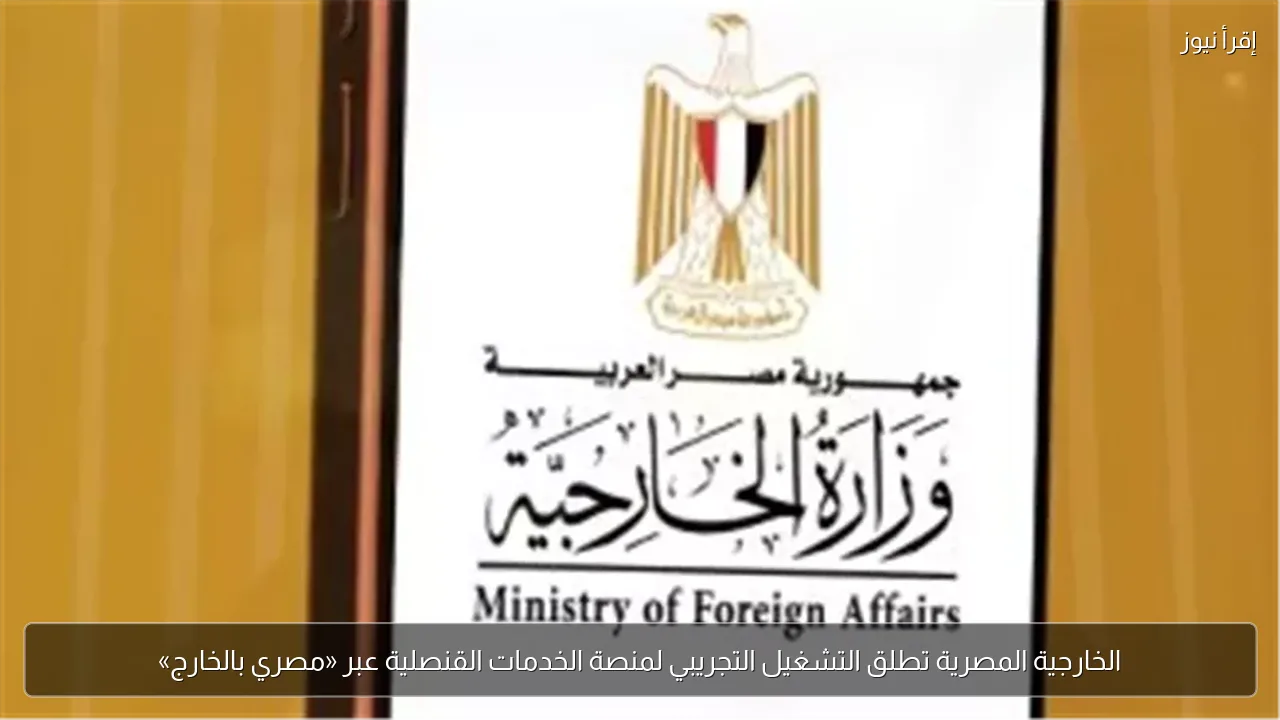 الخارجية المصرية تطلق التشغيل التجريبي لمنصة الخدمات القنصلية عبر «مصري بالخارج»