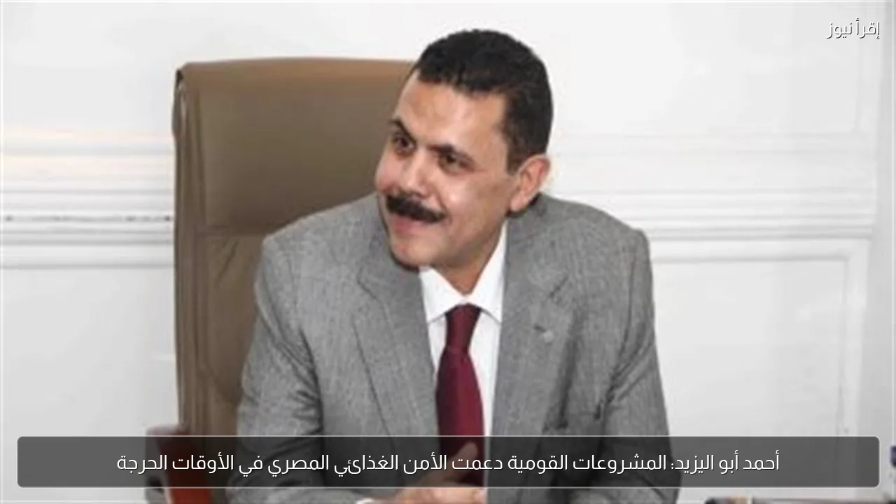 أحمد أبو اليزيد: المشروعات القومية دعمت الأمن الغذائي المصري في الأوقات الحرجة