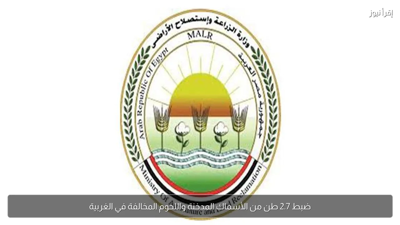 ضبط 2.7 طن من الأسماك المدخنة واللحوم المخالفة في الغربية