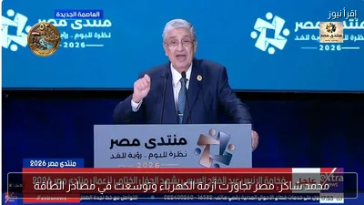 محمد شاكر: مصر تجاوزت أزمة الكهرباء وتوسعت في مصادر الطاقة