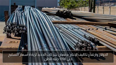 الدولار وارتفاع تكاليف الإنتاج يدفعان شركات الحديد لزيادة أسعار التسليح حتى 1700 جنيه للطن