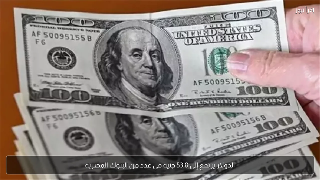 الدولار يرتفع إلى 53.8 جنيه في عدد من البنوك المصرية