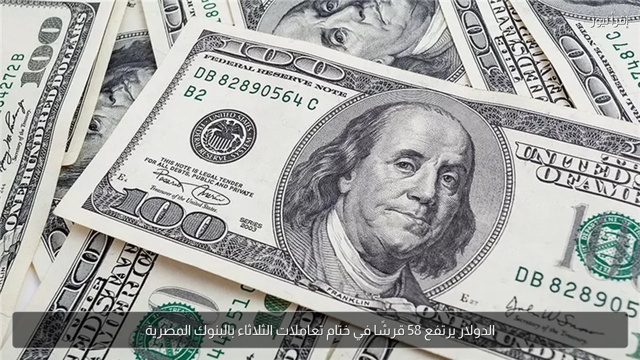 الدولار يرتفع 58 قرشًا في ختام تعاملات الثلاثاء بالبنوك المصرية