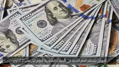 الدولار يستقر أمام الجنيه في البنوك المصرية اليوم الأربعاء 21 أكتوبر