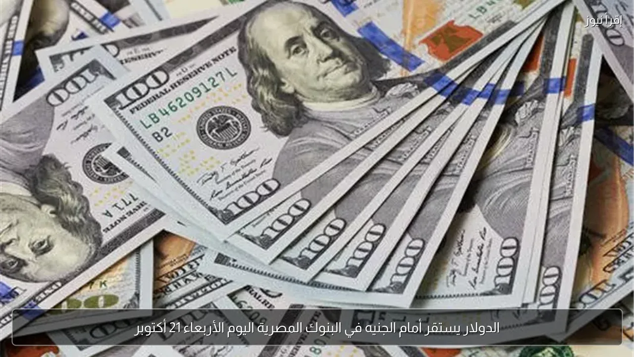 الدولار يستقر أمام الجنيه في البنوك المصرية اليوم الأربعاء 21 أكتوبر