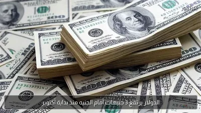 الدولار يرتفع 3 جنيهات أمام الجنيه منذ بداية أكتوبر
