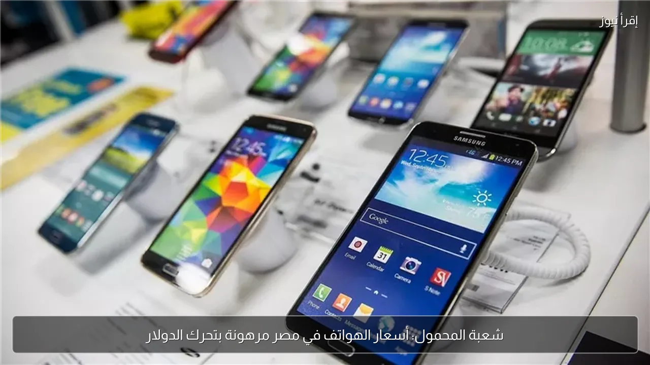شعبة المحمول: أسعار الهواتف في مصر مرهونة بتحرك الدولار