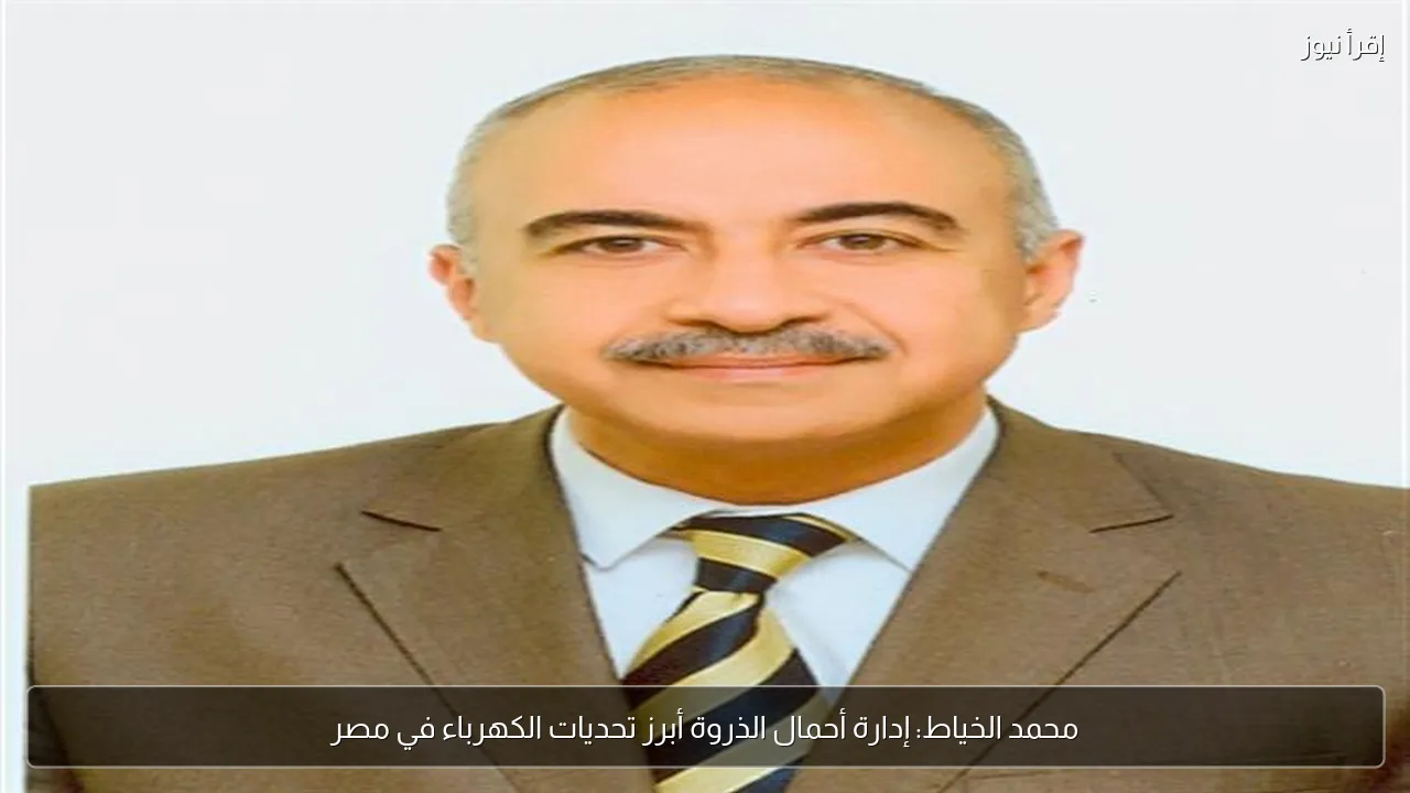 محمد الخياط: إدارة أحمال الذروة أبرز تحديات الكهرباء في مصر
