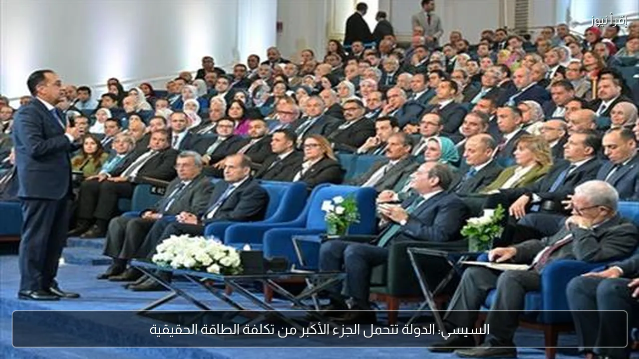 السيسي: الدولة تتحمل الجزء الأكبر من تكلفة الطاقة الحقيقية