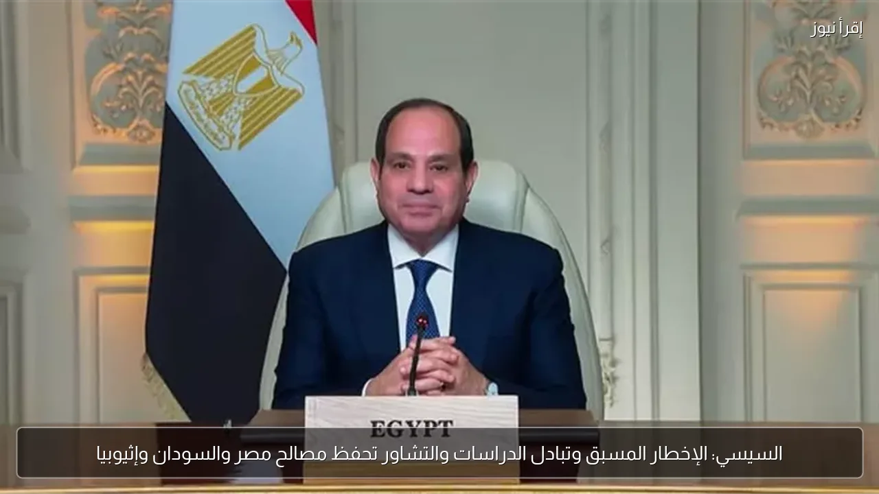 السيسي: الإخطار المسبق وتبادل الدراسات والتشاور تحفظ مصالح مصر والسودان وإثيوبيا