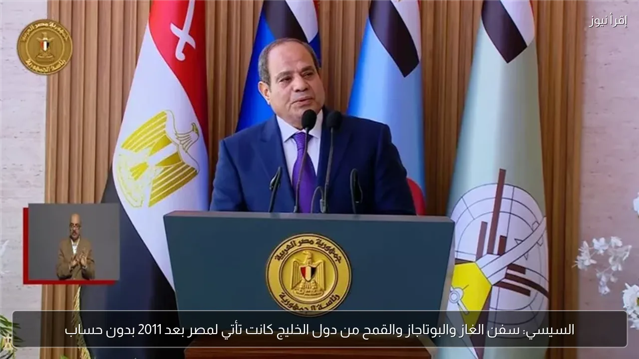 السيسي: سفن الغاز والبوتاجاز والقمح من دول الخليج كانت تأتي لمصر بعد 2011 بدون حساب
