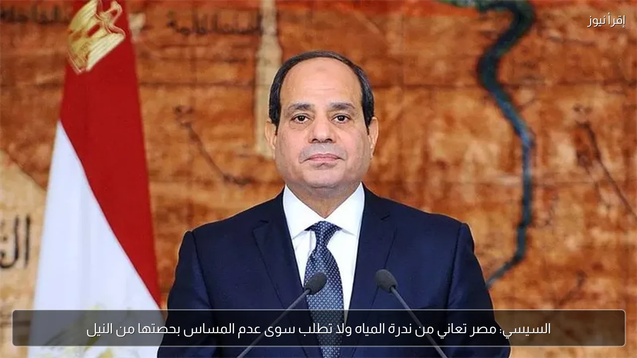 السيسي: مصر تعاني من ندرة المياه ولا تطلب سوى عدم المساس بحصتها من النيل