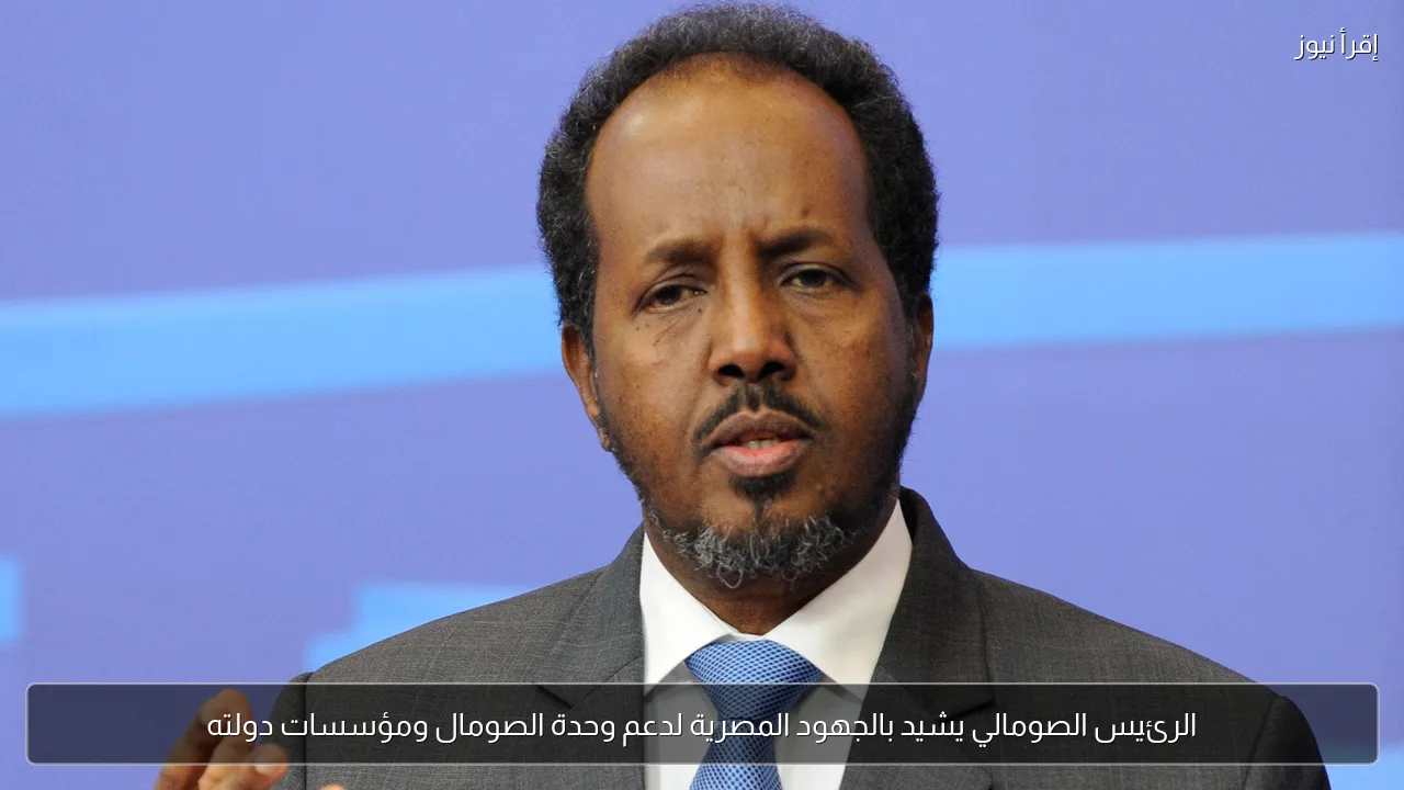 الرئيس الصومالي يشيد بالجهود المصرية لدعم وحدة الصومال ومؤسسات دولته