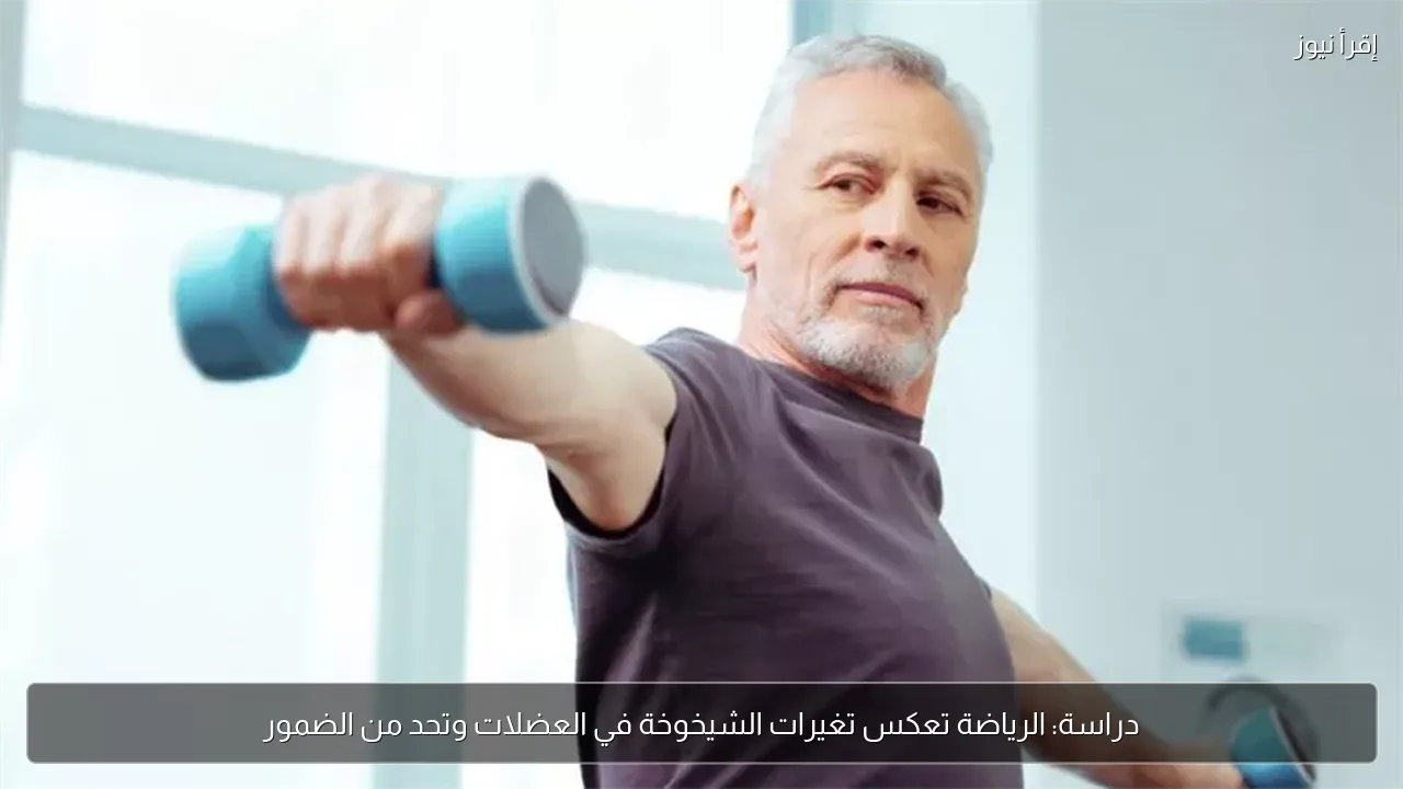 دراسة: الرياضة تعكس تغيرات الشيخوخة في العضلات وتحد من الضمور