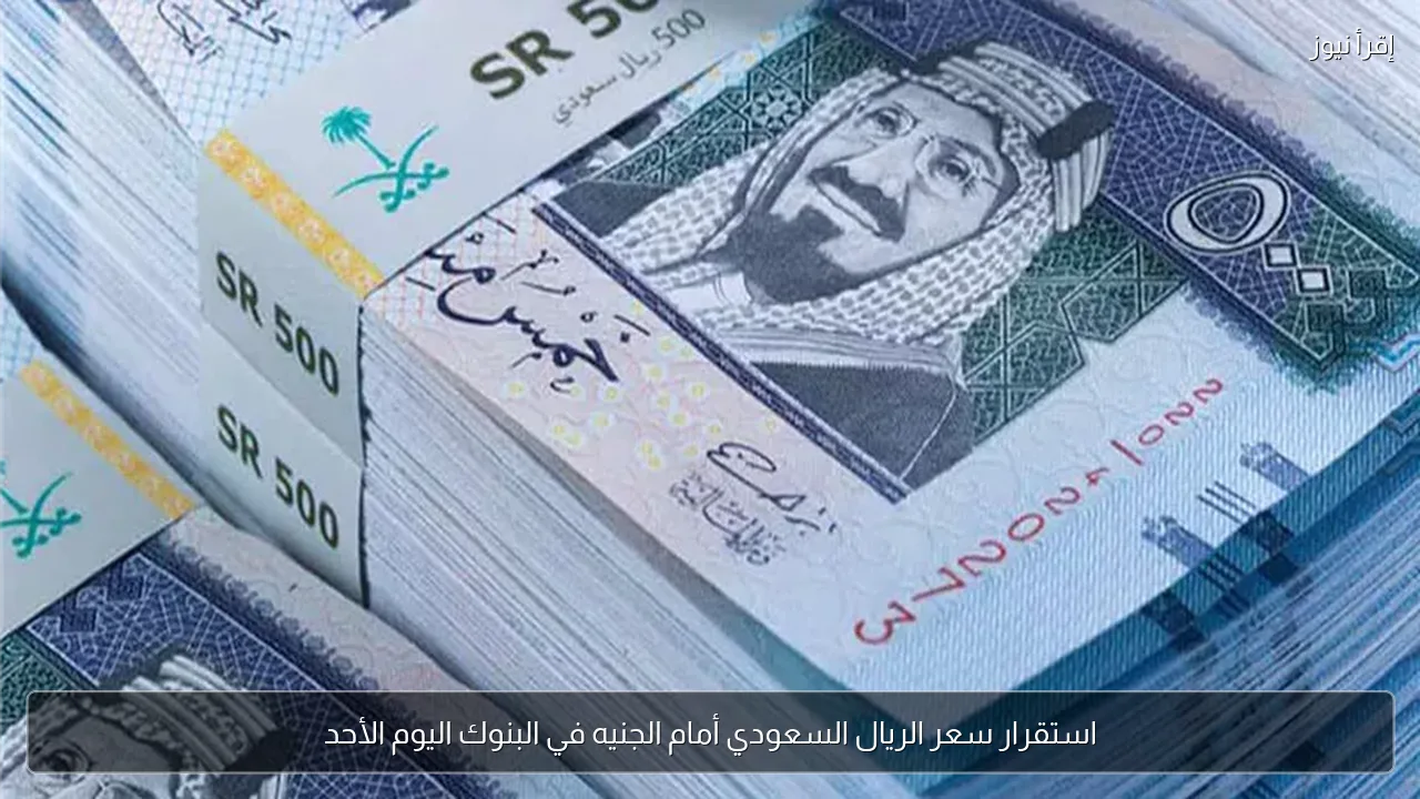 استقرار سعر الريال السعودي أمام الجنيه في البنوك اليوم الأحد