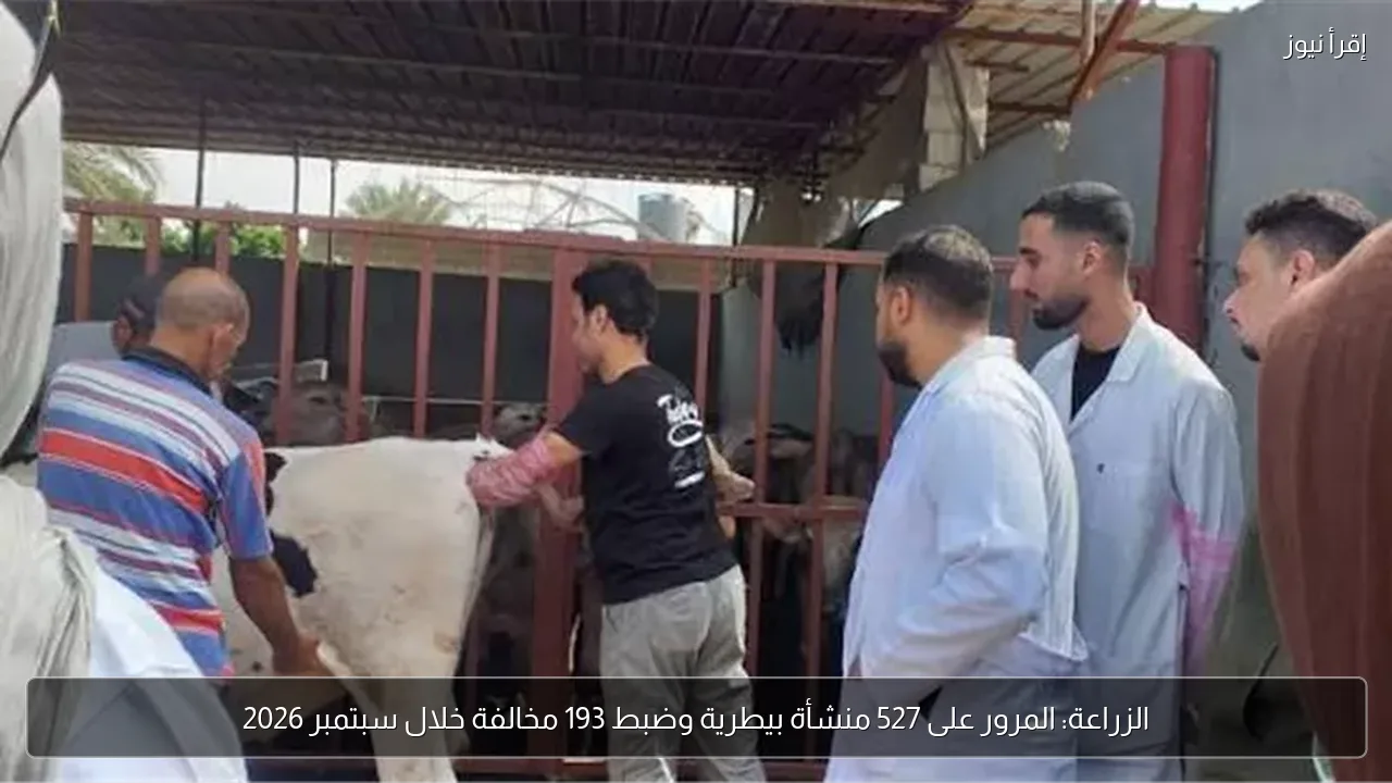 الزراعة: المرور على 527 منشأة بيطرية وضبط 193 مخالفة خلال سبتمبر 2026