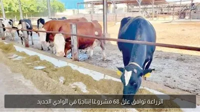 الزراعة توافق على 68 مشروعًا إنتاجيًا في الوادي الجديد