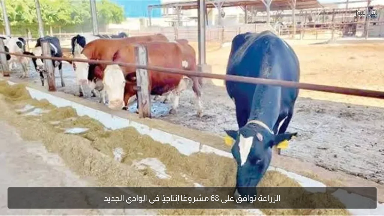 الزراعة توافق على 68 مشروعًا إنتاجيًا في الوادي الجديد