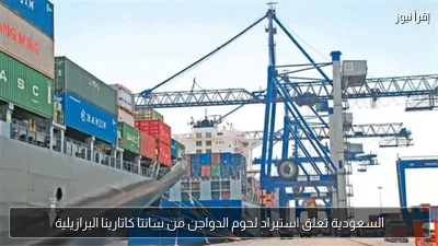 السعودية تعلق استيراد لحوم الدواجن من سانتا كاتارينا البرازيلية