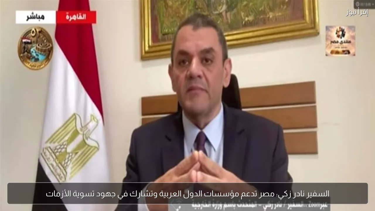 السفير نادر زكي: مصر تدعم مؤسسات الدول العربية وتشارك في جهود تسوية الأزمات