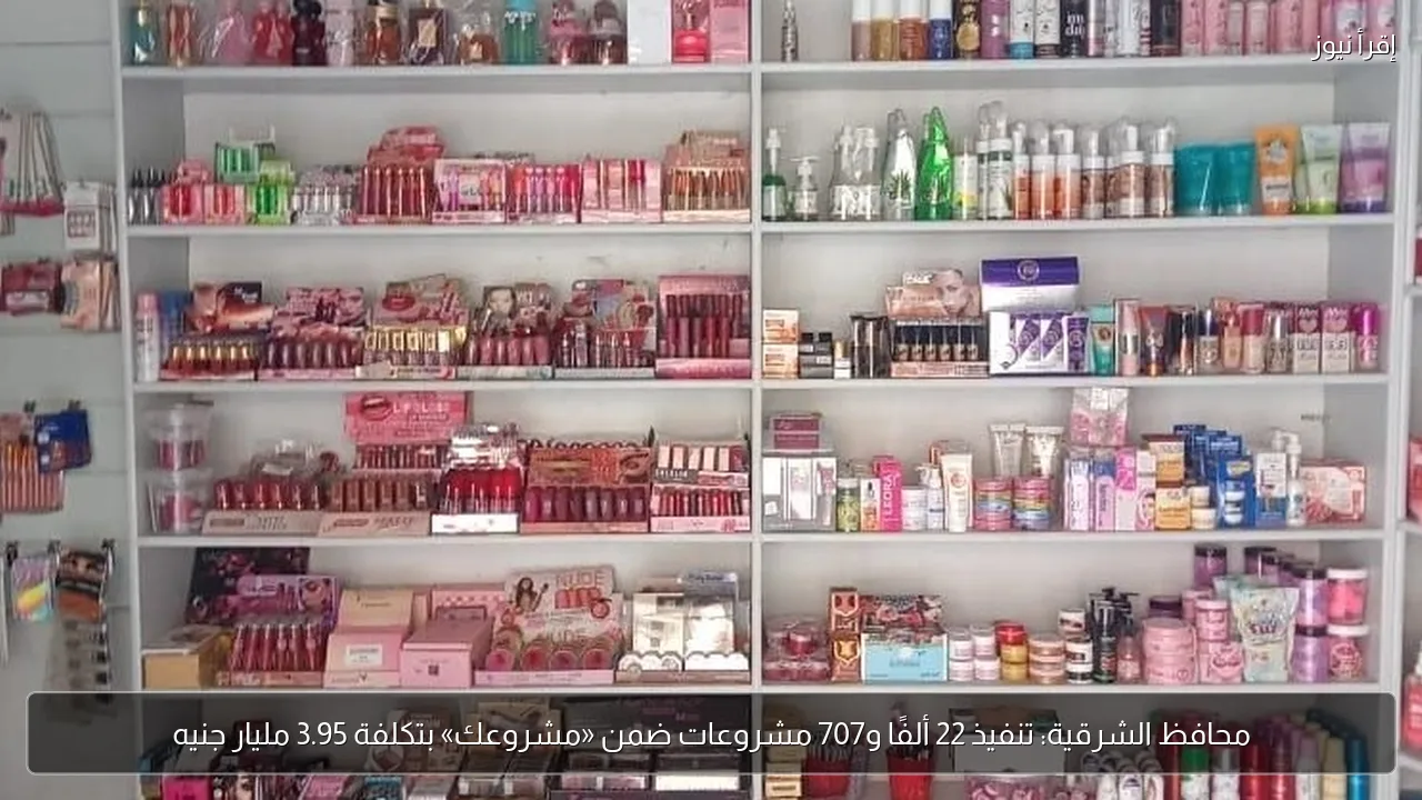 محافظ الشرقية: تنفيذ 22 ألفًا و707 مشروعات ضمن «مشروعك» بتكلفة 3.95 مليار جنيه