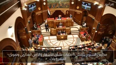 مجلس الشيوخ يناقش 5 طلبات بشأن الأسعار والأمن الغذائي وتمويل المشروعات
