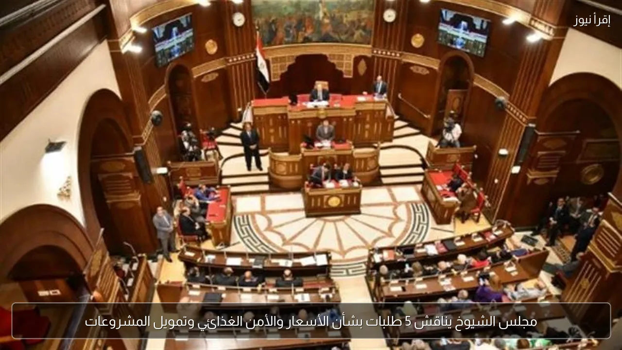 مجلس الشيوخ يناقش 5 طلبات بشأن الأسعار والأمن الغذائي وتمويل المشروعات