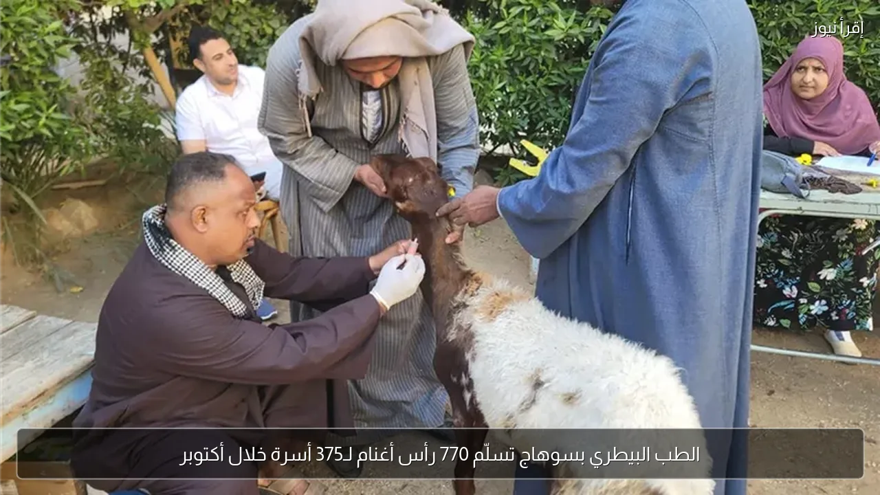 الطب البيطري بسوهاج تسلّم 770 رأس أغنام لـ375 أسرة خلال أكتوبر