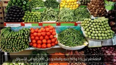 الطماطم بين 7.5 و16.5 جنيه والمانجو حتى 100 جنيه في الأسواق